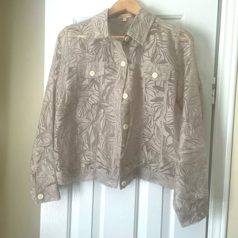 Thin sheer jacket